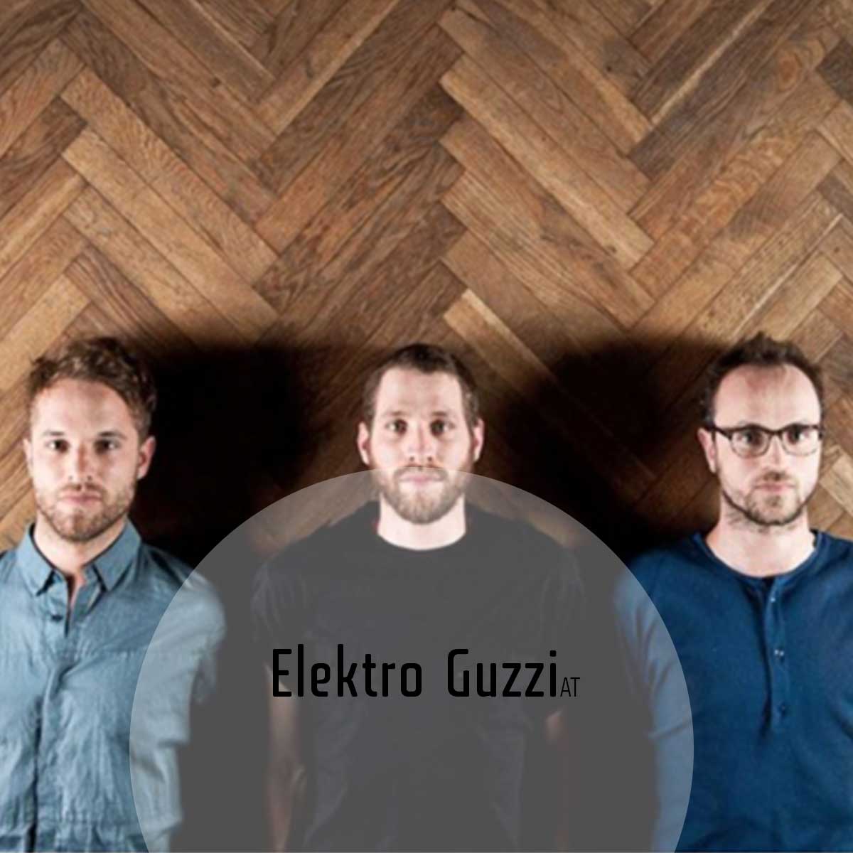 Elektro Guzzi